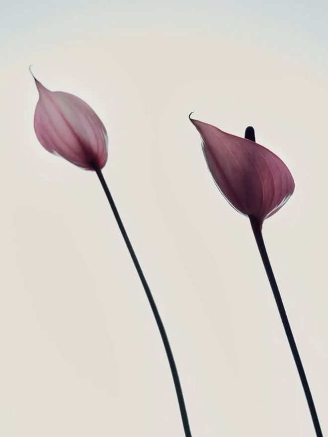AETERNA